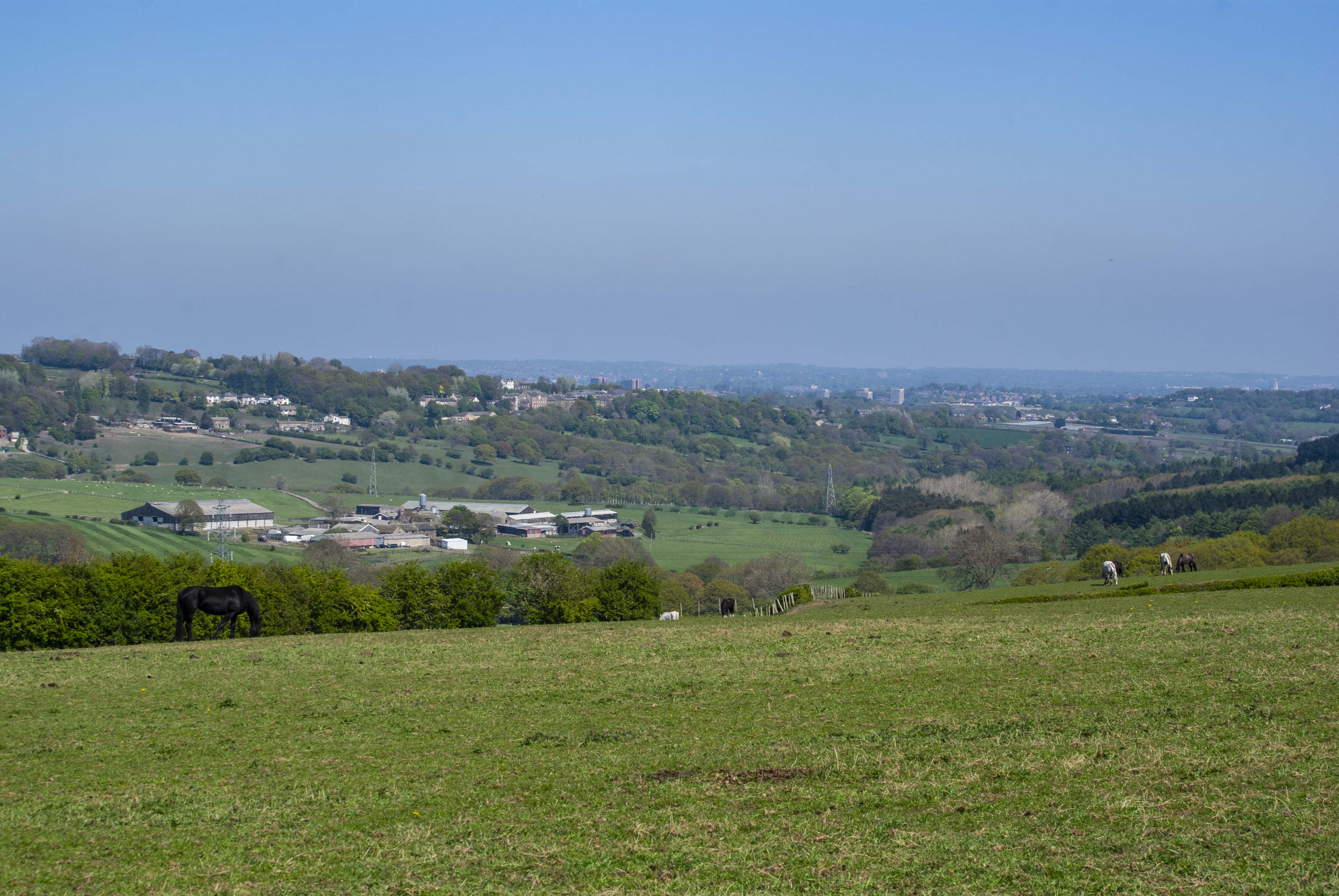 ‘Once It’s Gone, It’s Gone’: Campaigners call on council to halt sale of greenbelt land